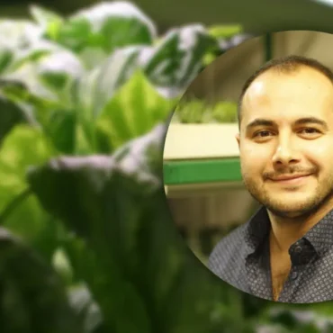 Podcast bölümü: Veriye Değer Katmak - Konuk: Seemlyapp Kurucu Ortak Levent Atlas | Dünya Trendleri by Aykut Balcı